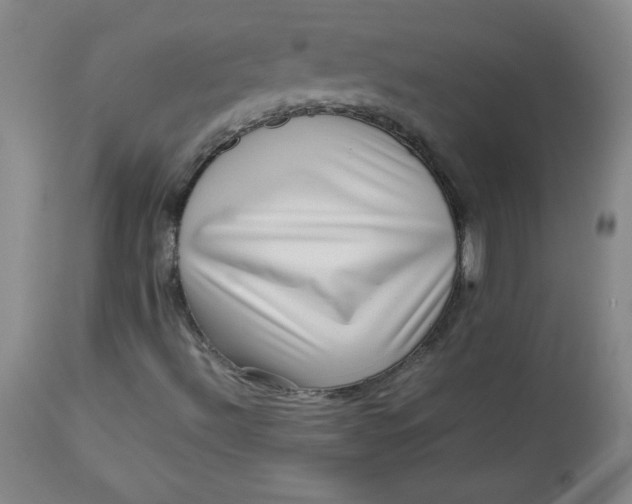 X0000112731492200909101438