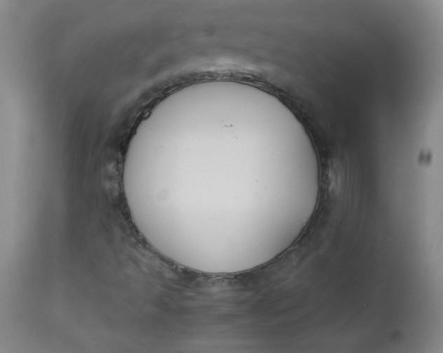 X0000112731493200909101438