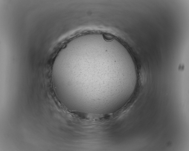 X0000112731494200909101438