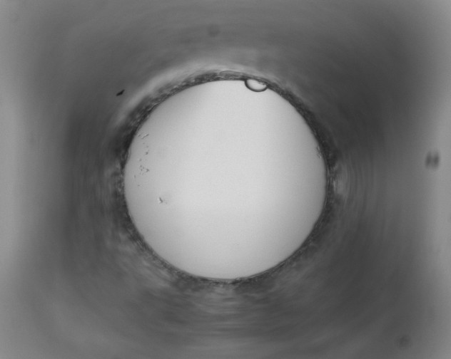 X0000112731495200909101438