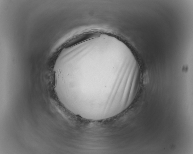 X0000112731496200909101438