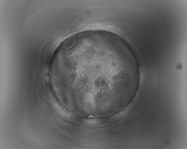 X0000112731497200909101438