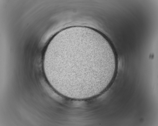 X0000112731498200909101438