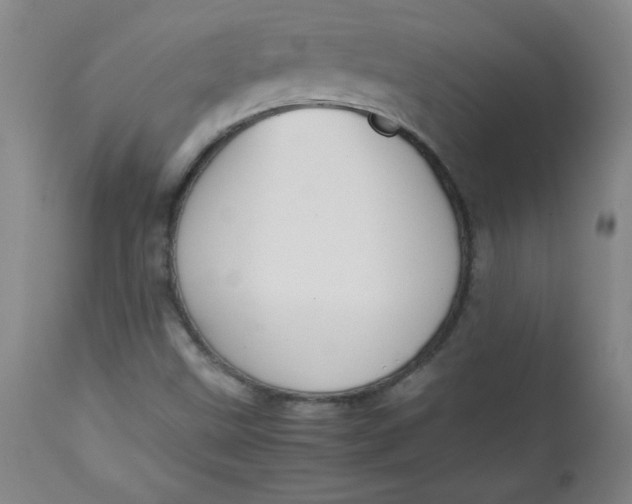 X0000112731499200909101438