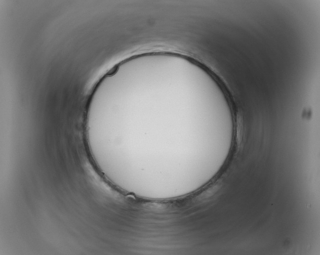 X0000112731500200909101438