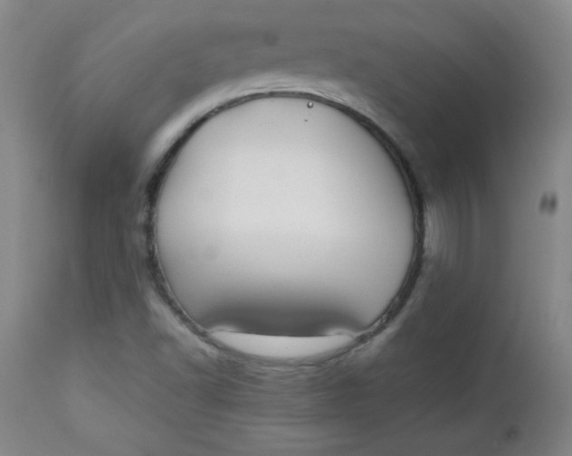 X0000112731502200909101438