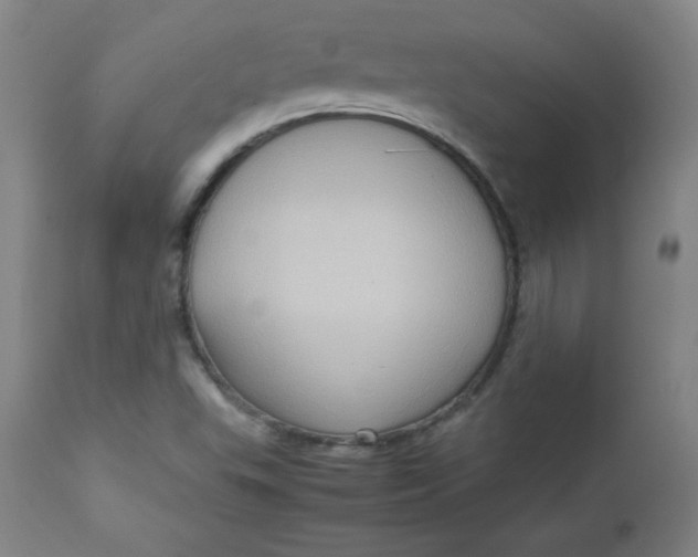 X0000112731503200909101439