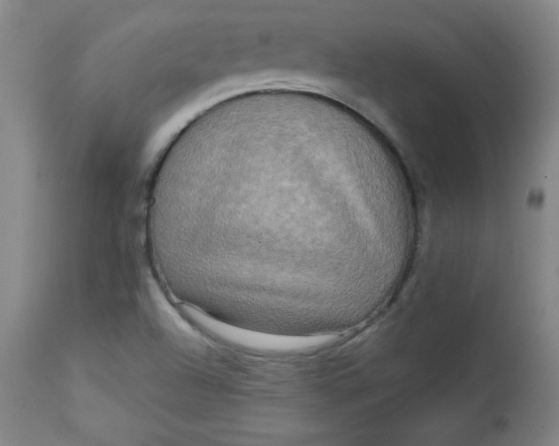 X0000112731504200909101439