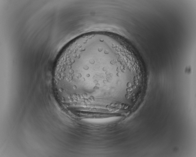 X0000112731505200909101439