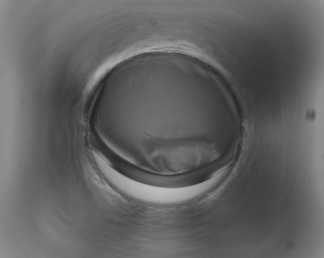 X0000112731506200909101439