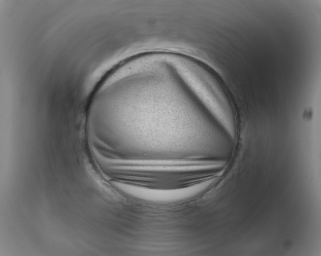 X0000112731507200909101439