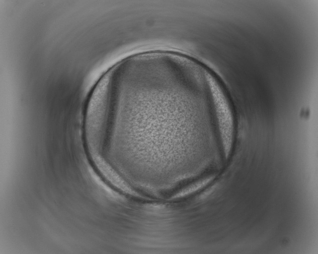 X0000112731508200909101439