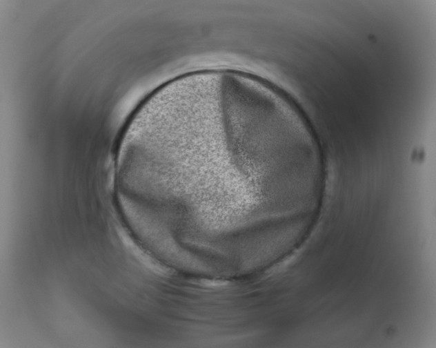 X0000112731509200909101439