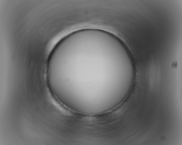 X0000112731511200909101439