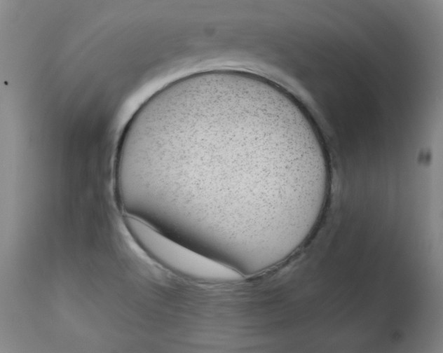 X0000112731512200909101439