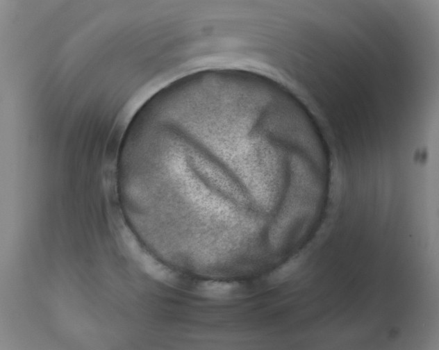 X0000112731513200909101439