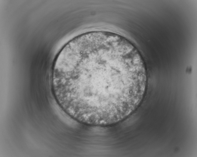 X0000112731514200909101439