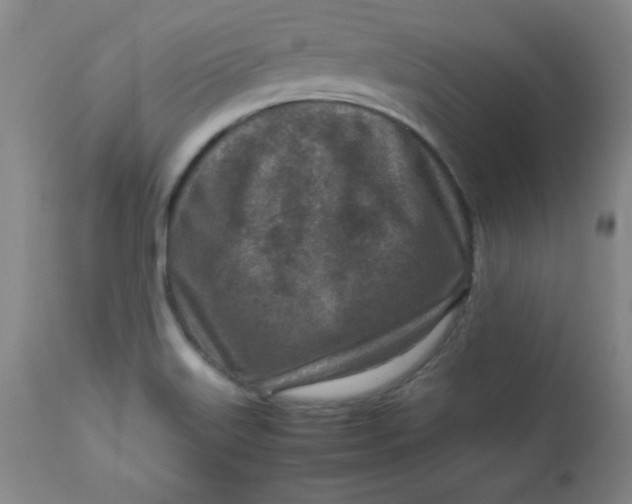 X0000112731515200909101439