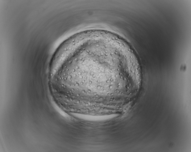 X0000112731519200909101439