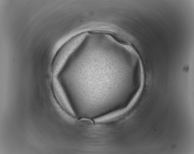 X0000112731520200909101439