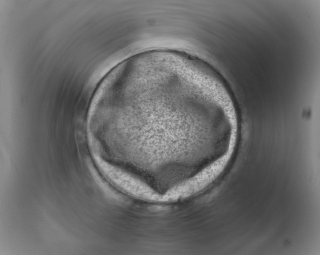 X0000112731521200909101439