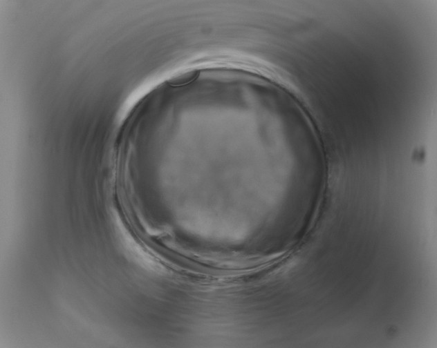 X0000112731522200909101439