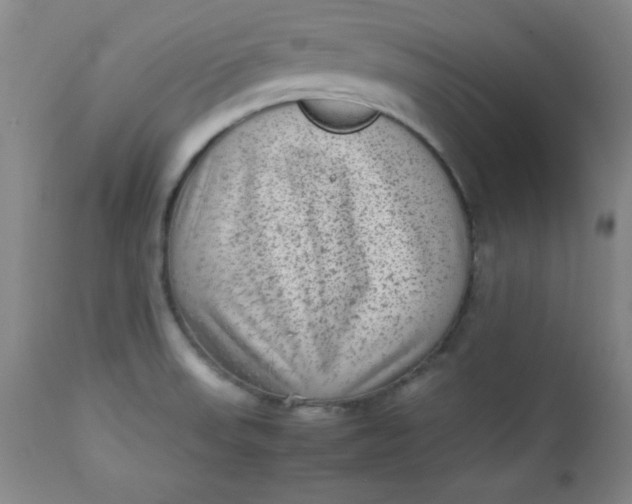 X0000112731523200909101439