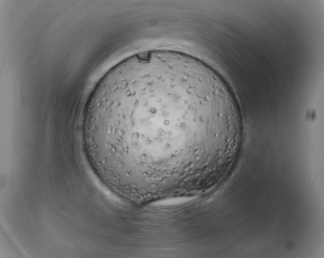 X0000112731525200909101439