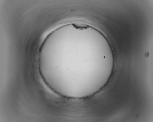 X0000112731526200909101439