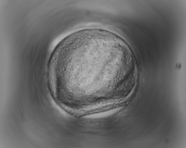 X0000112731527200909101439