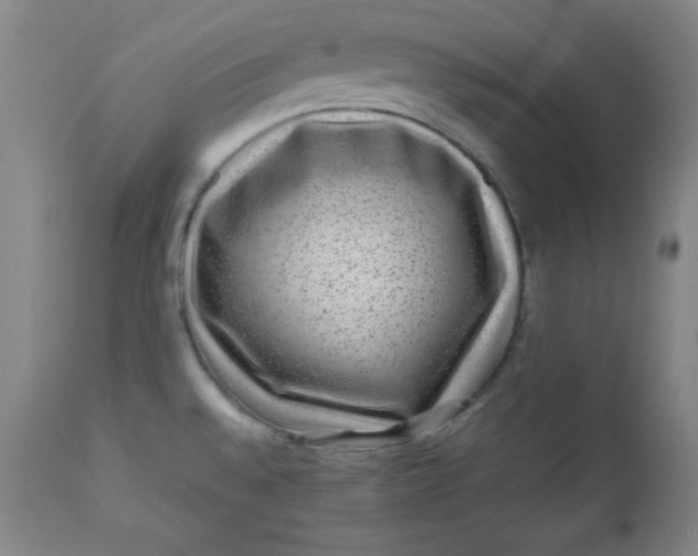 X0000112731528200909101439