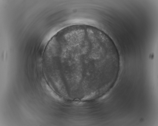 X0000112731529200909101439