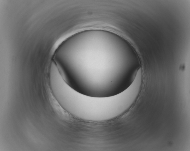 X0000112731530200909101439