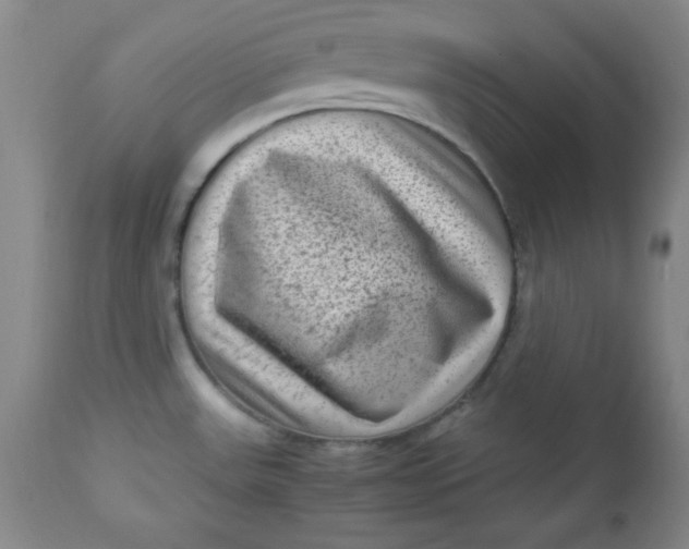 X0000112731531200909101439