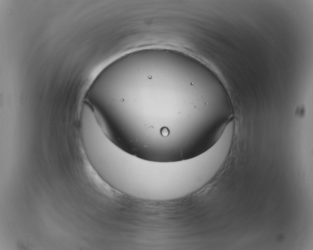 X0000112731532200909101439