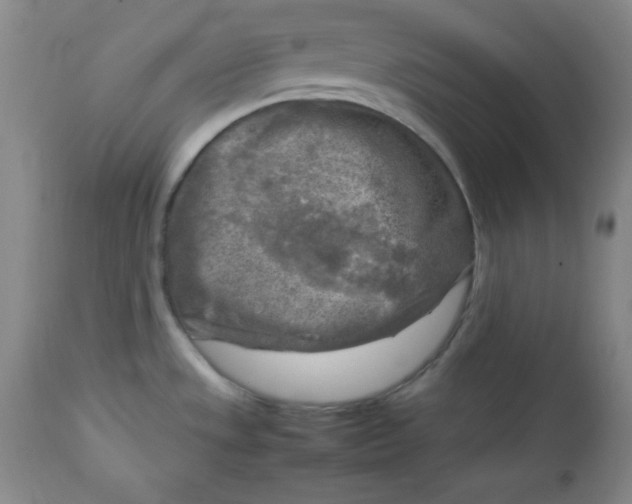 X0000112731533200909101439