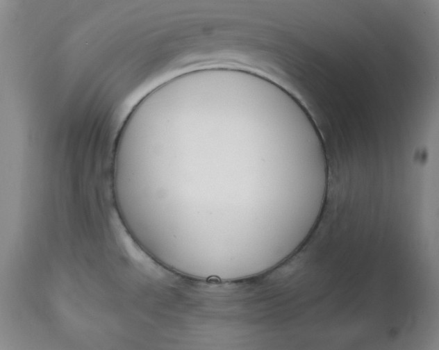 X0000112731534200909101439