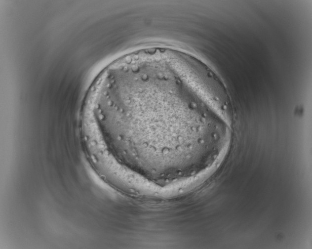 X0000112731535200909101439