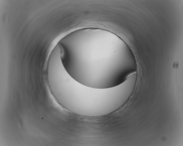 X0000112731536200909101439