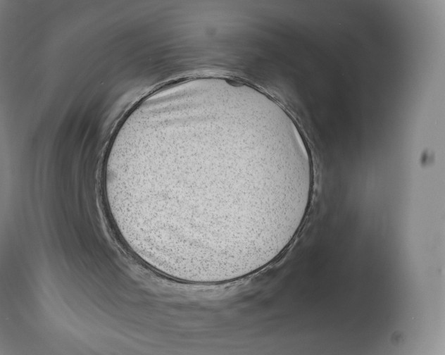 X0000112730001200909171138