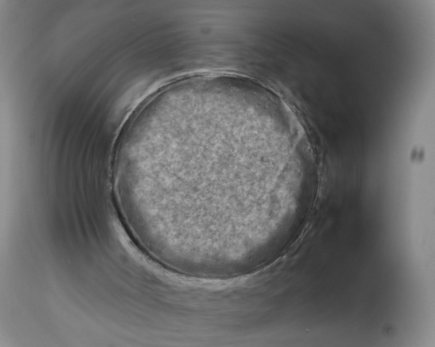 X0000112730002200909171138