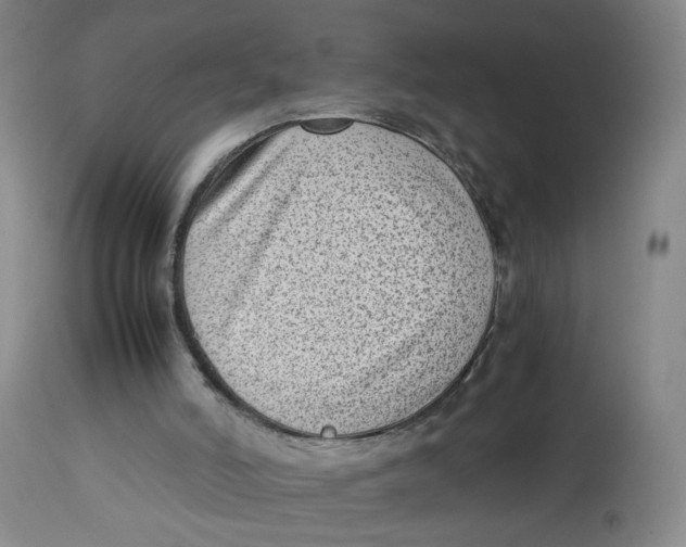X0000112730006200909171138