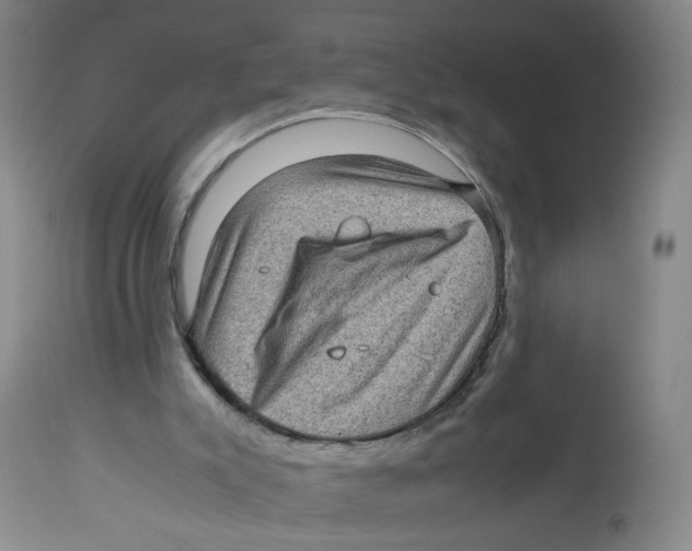 X0000112730007200909171138