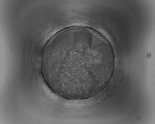 X0000112730009200909171138