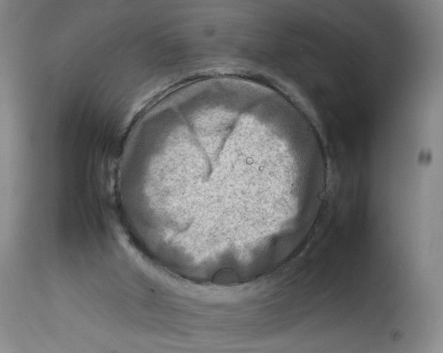 X0000112730010200909171138