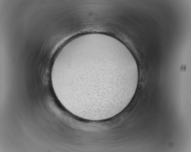 X0000112730012200909171138