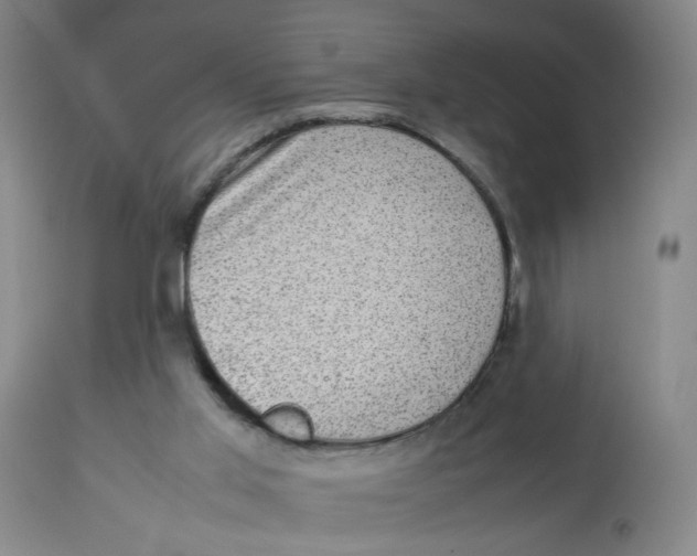 X0000112730013200909171138