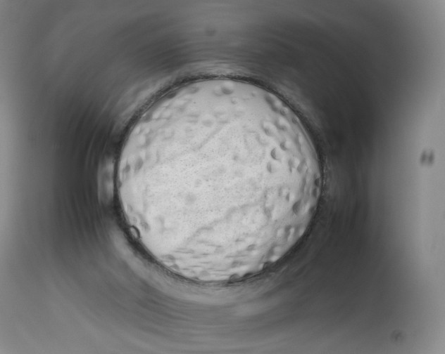 X0000112730014200909171138