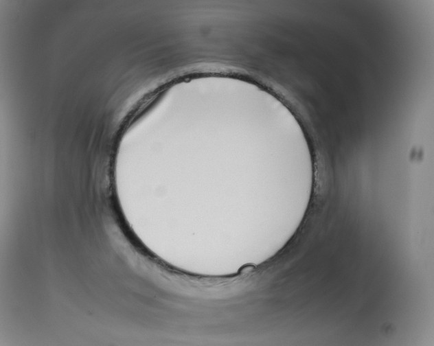 X0000112730015200909171138