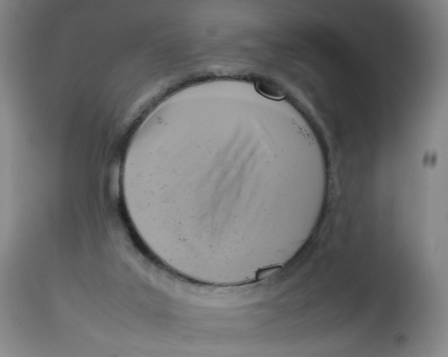 X0000112730019200909171138